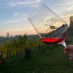Weingut Gästezimmer Zweytick Robert Gasthof Ratsch an der Weinstraße
