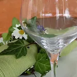 Gasthof Weingut Gästezimmer Zweytick Robert 3*