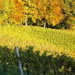 Weingut Gästezimmer Zweytick Robert Gasthof