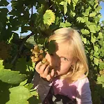 Weingut Gästezimmer Zweytick Robert 3* Ratsch an der Weinstraße