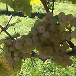 Gasthof Weingut Gästezimmer Zweytick Robert 3*