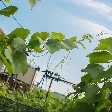 Zweytick Gaestezimmer Weingut Πανσιόν