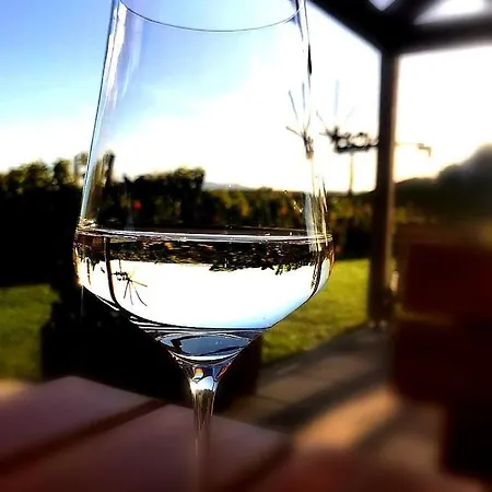 Zweytick Gaestezimmer Weingut Maison d'hôtes Ratsch an der Weinstraße