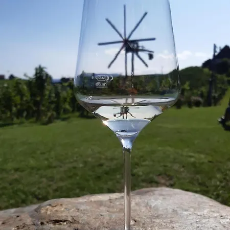 Maison d'hôtes Zweytick Gaestezimmer Weingut 3*