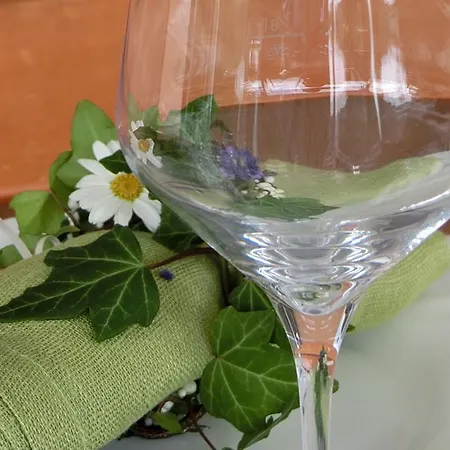 Maison d'hôtes Zweytick Gaestezimmer Weingut 3*