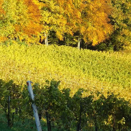 Zweytick Gaestezimmer Weingut Maison d'hôtes