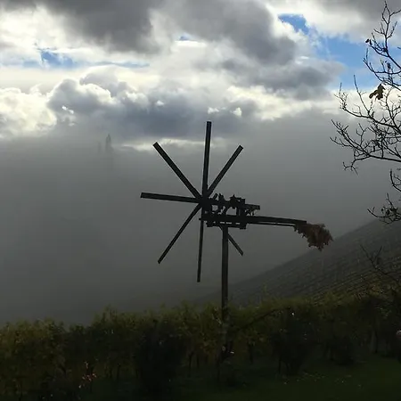 Pensión Zweytick Gaestezimmer Weingut Ratsch an der Weinstraße