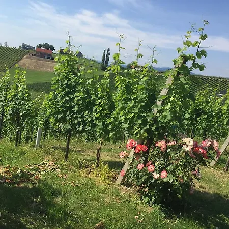 Zweytick Gaestezimmer Weingut
