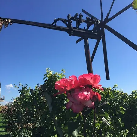 Maison d'hôtes Zweytick Gaestezimmer Weingut