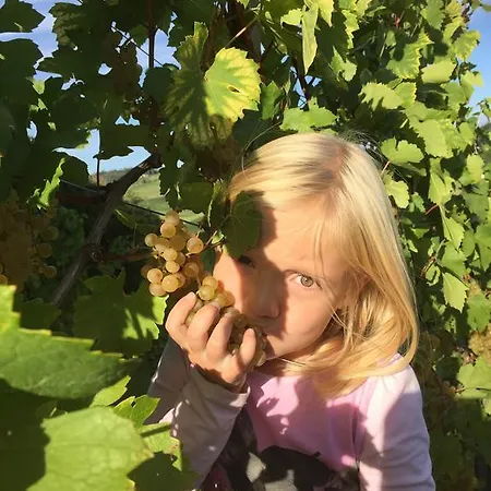 Zweytick Gaestezimmer Weingut 3* Ratsch an der Weinstraße