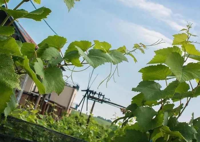 Zweytick Gaestezimmer Weingut بيت ضيافة