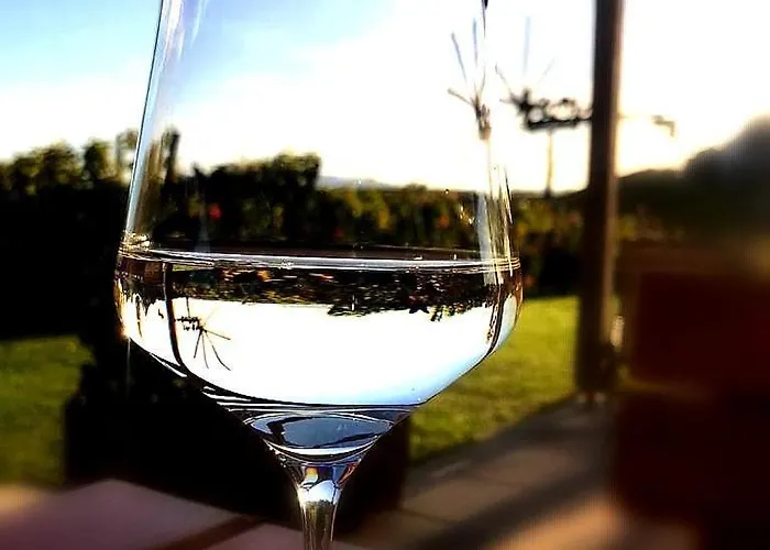 Zweytick Gaestezimmer Weingut بيت ضيافة Ratsch an der Weinstraße