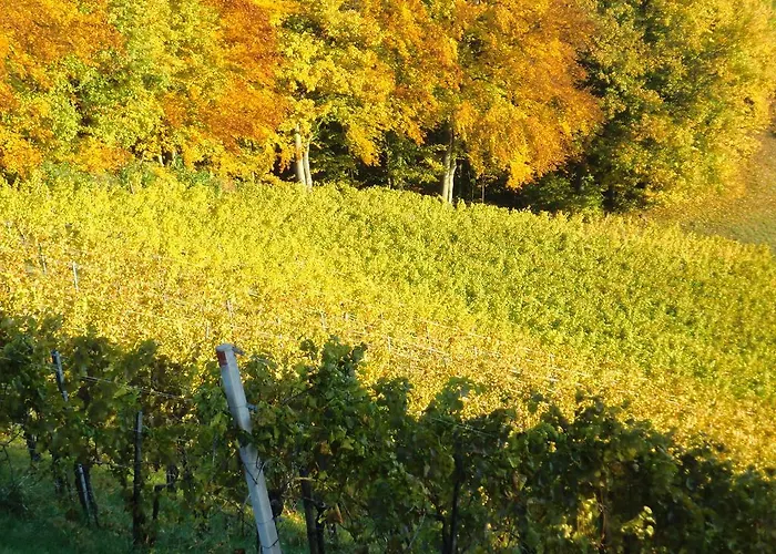 Zweytick Gaestezimmer Weingut بيت ضيافة