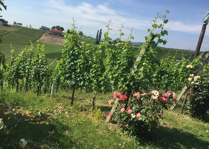 Zweytick Gaestezimmer Weingut