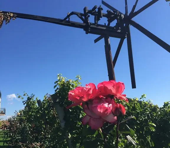 بيت ضيافة Zweytick Gaestezimmer Weingut