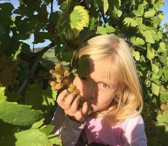 Zweytick Gaestezimmer Weingut 3* Ratsch an der Weinstraße
